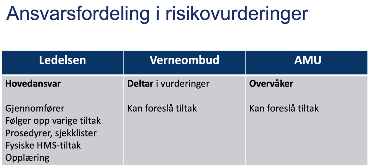 Ansvarsfordeling risikovurdering