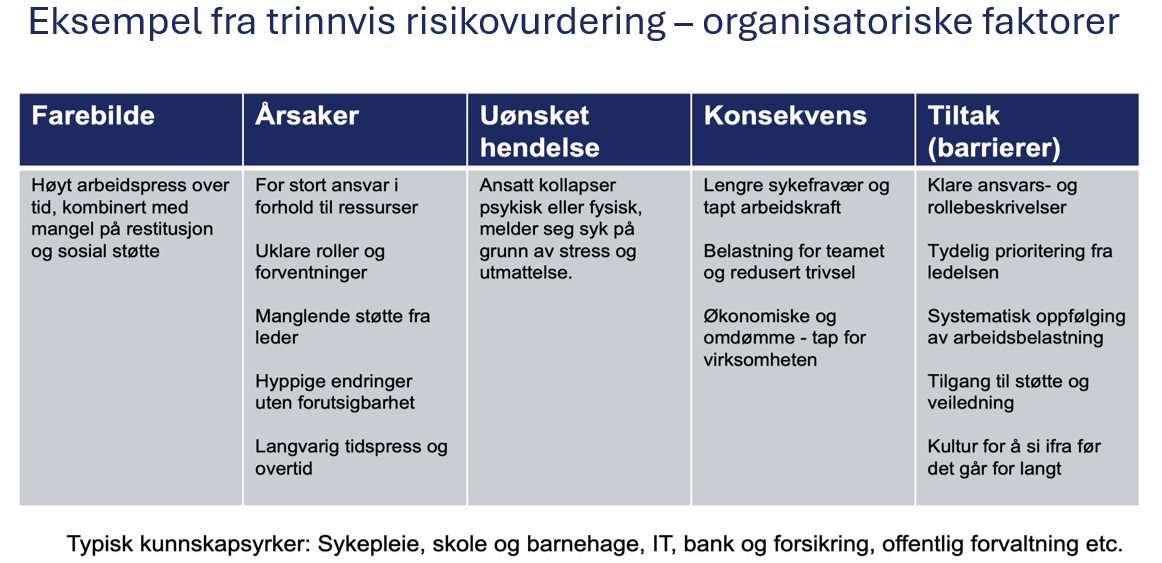 Risikovurdering kunnskapsyrker